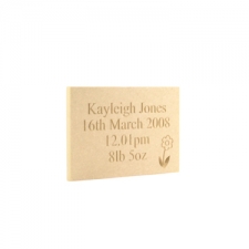 Birth Plaques (6mm) 