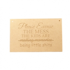 6mm Hanging Plaque, 'Please excuse the mess...'