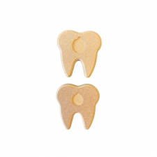 Tooth Shape Coin Holder (18mm)